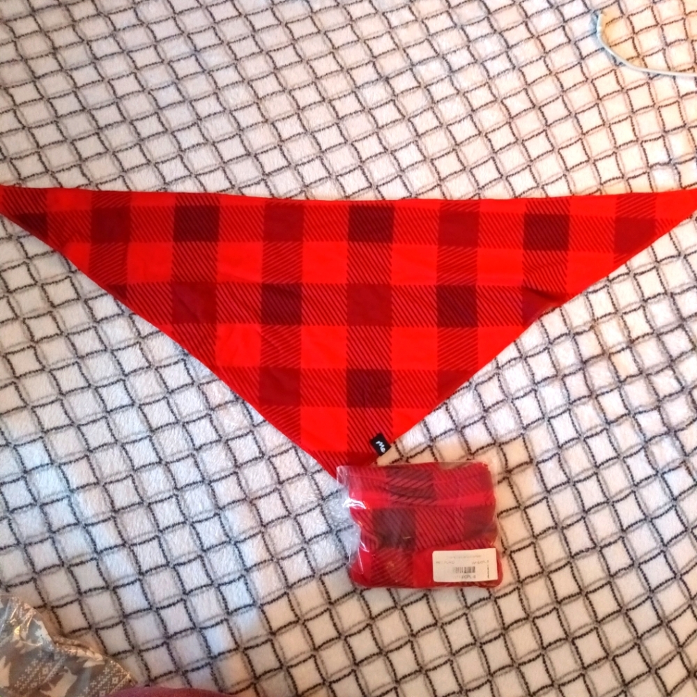 Me undies dog bandana and matching underwear set